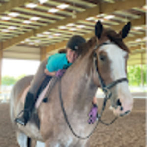 Meet your Posher, Ava